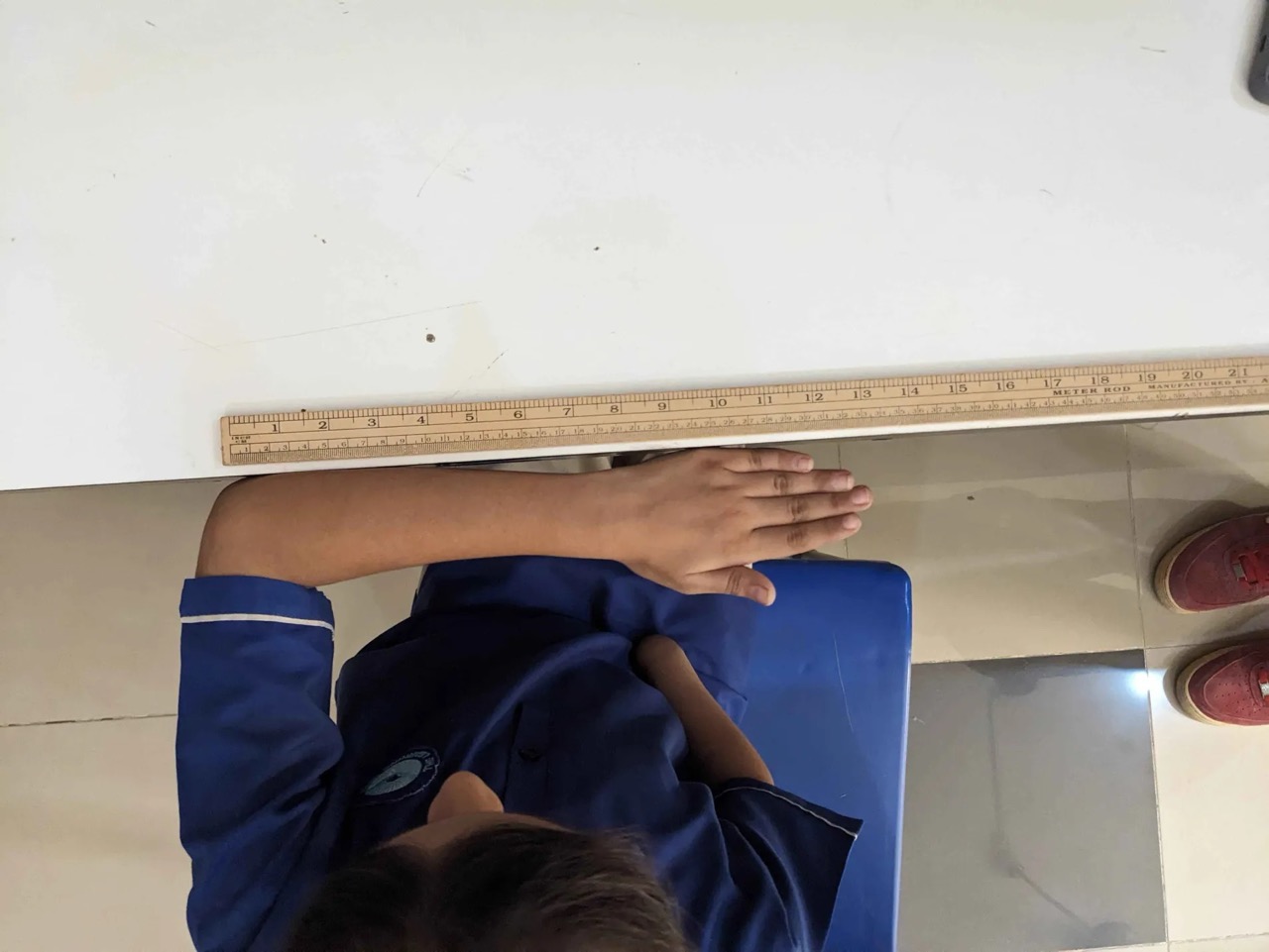 Full forearm length measured horizontally against ruler