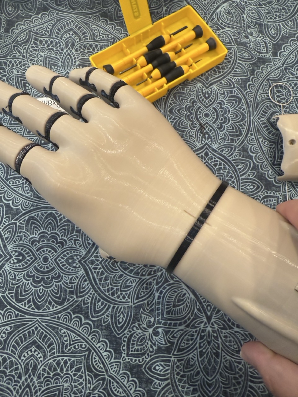Palm of the hand laid flat, tensioner cord routing visible