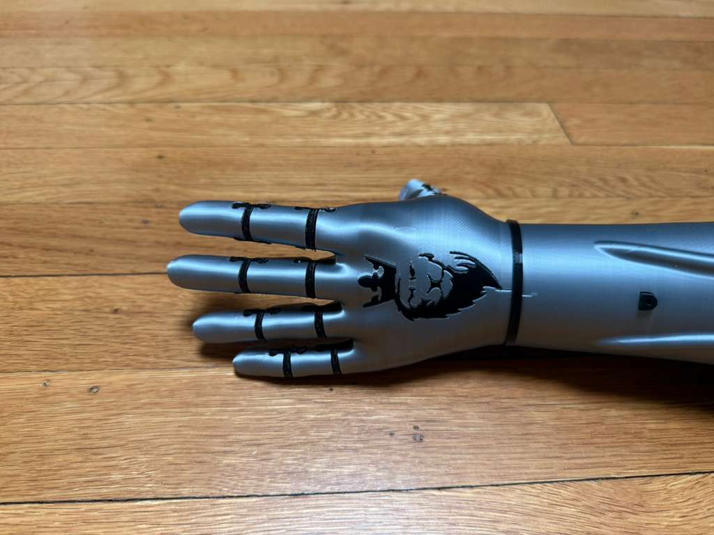 The silver Kinetic Arm lying flat, showing the lion on the back of the hand