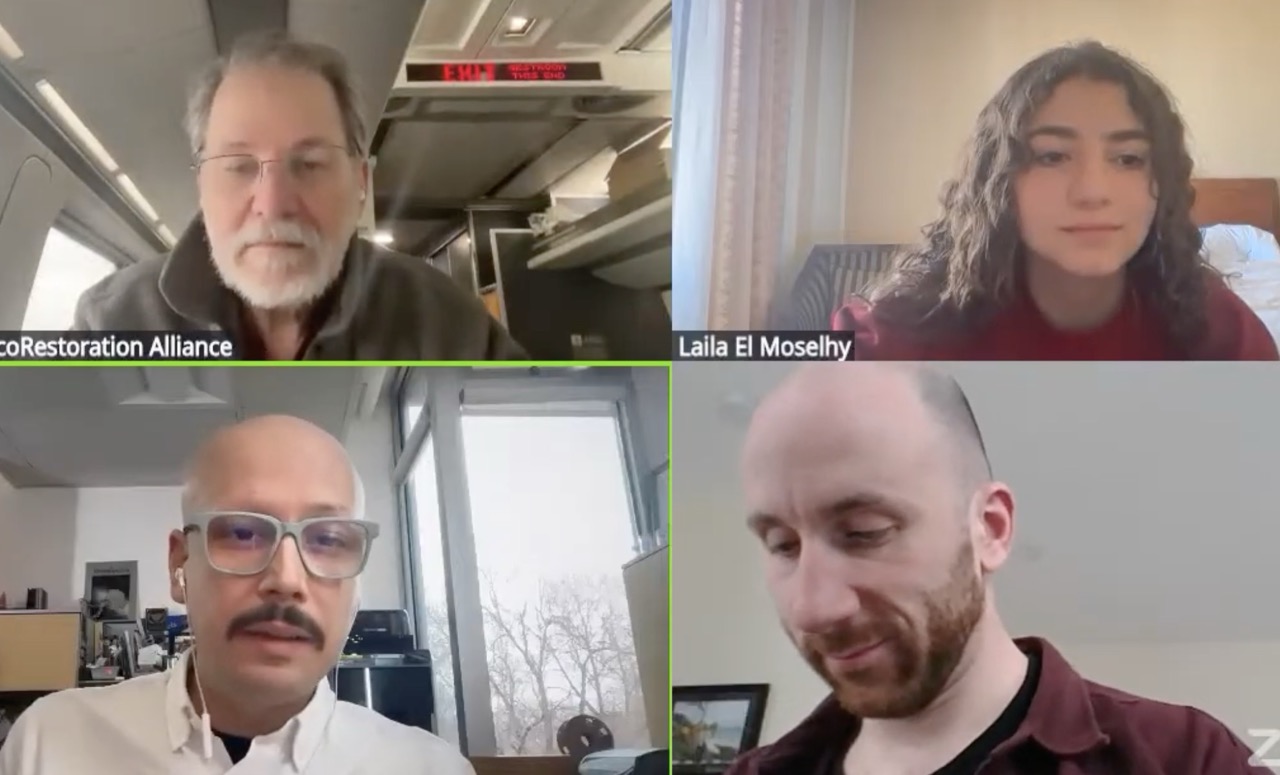 Zoom screenshot of the e-NABLE Education meeting with Prof. Ian Roy, Mr. Jon Schull, and Laila El Moselhy